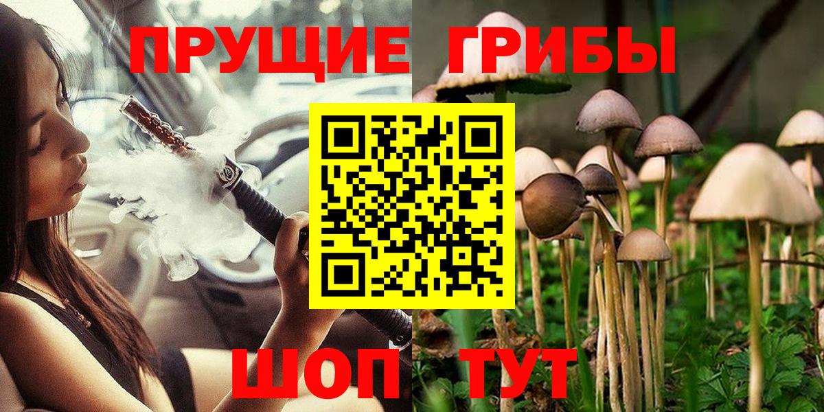 Псилоцибиновые грибы GOLDEN TEACHER Миллерово