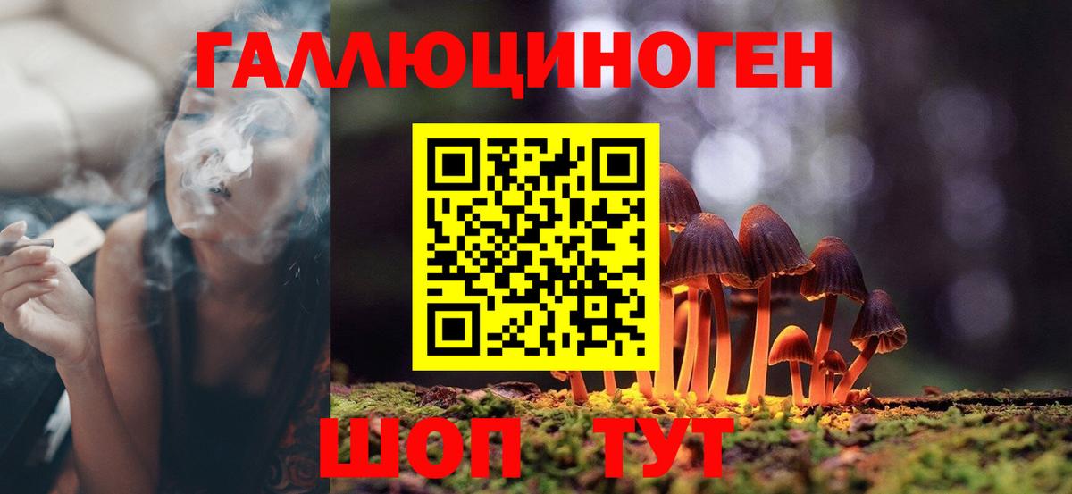 Миллерово  Псилоцибиновые грибы Magic Shrooms  как найти закладки  Вход с VPN 